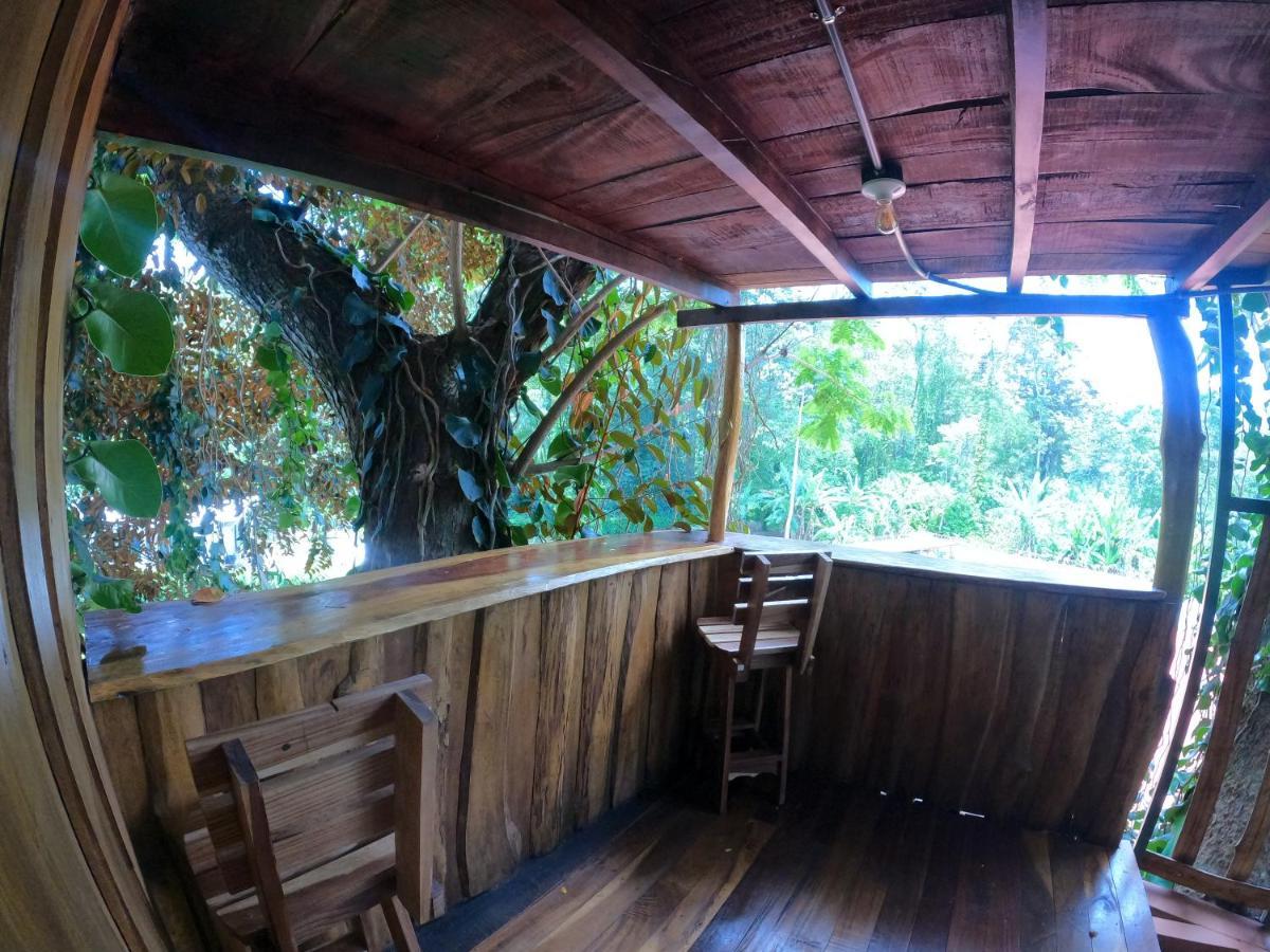 Tree House Samanea Lodge Пуэрто-Лимон Экстерьер фото