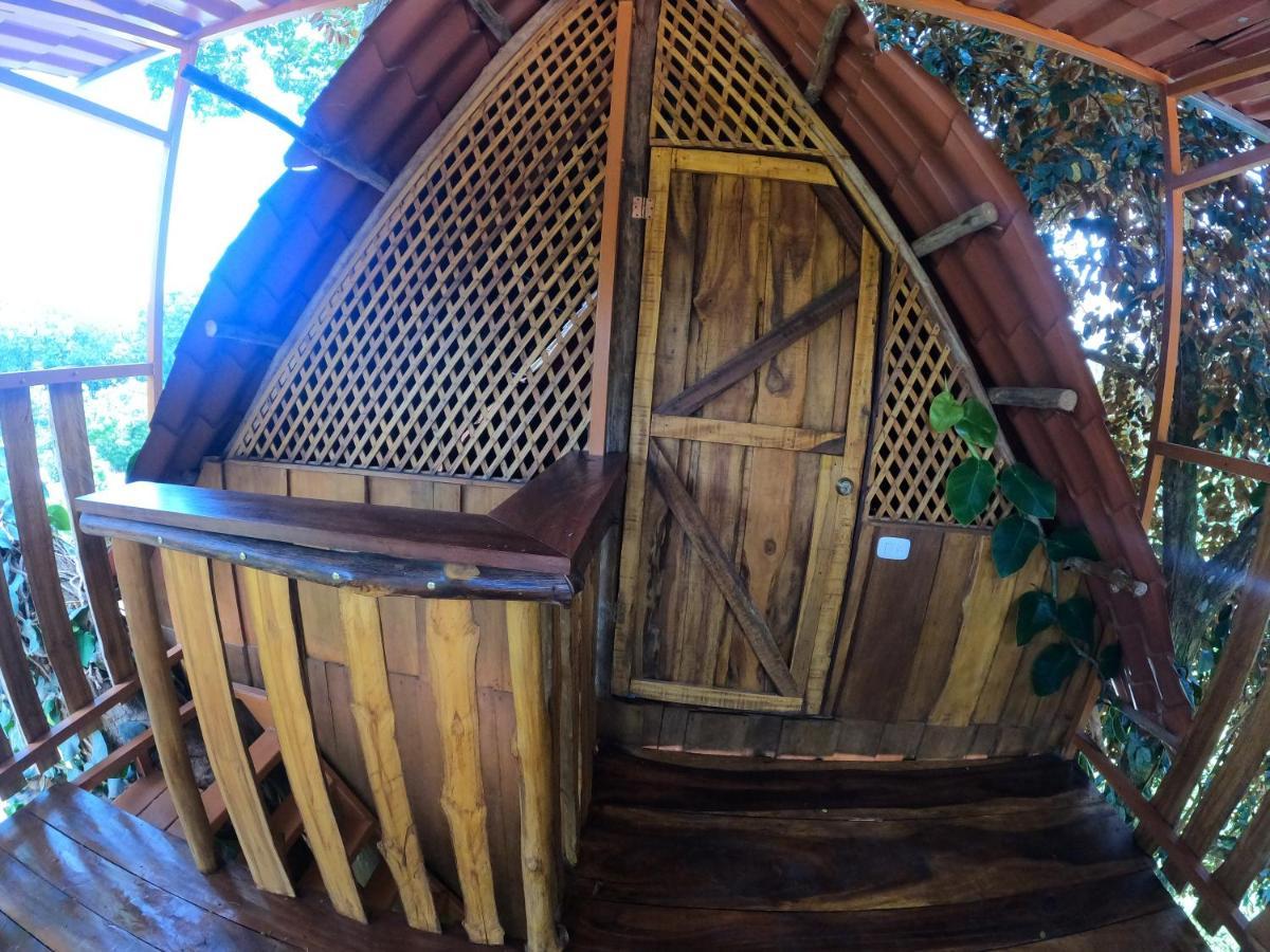 Tree House Samanea Lodge Пуэрто-Лимон Экстерьер фото