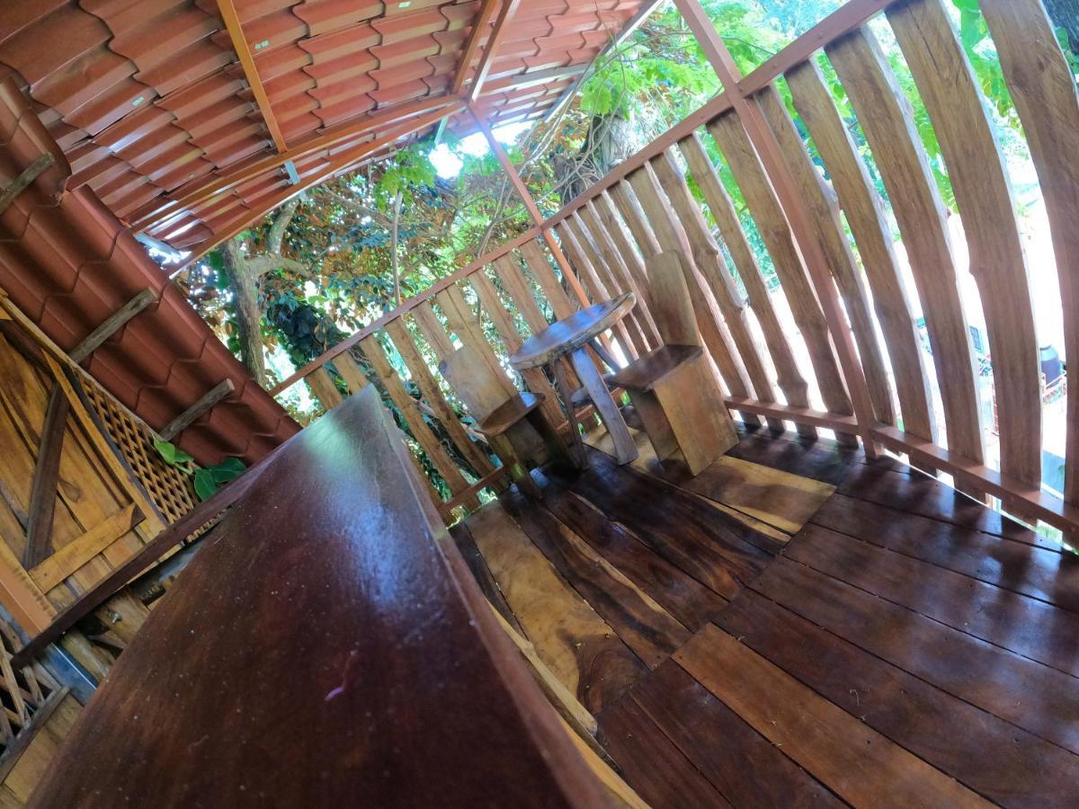 Tree House Samanea Lodge Пуэрто-Лимон Экстерьер фото
