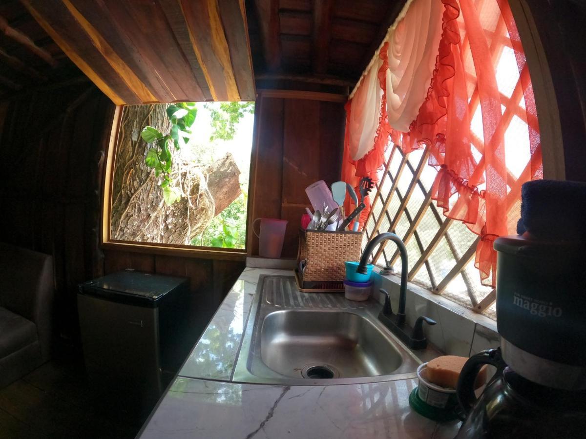 Tree House Samanea Lodge Пуэрто-Лимон Экстерьер фото