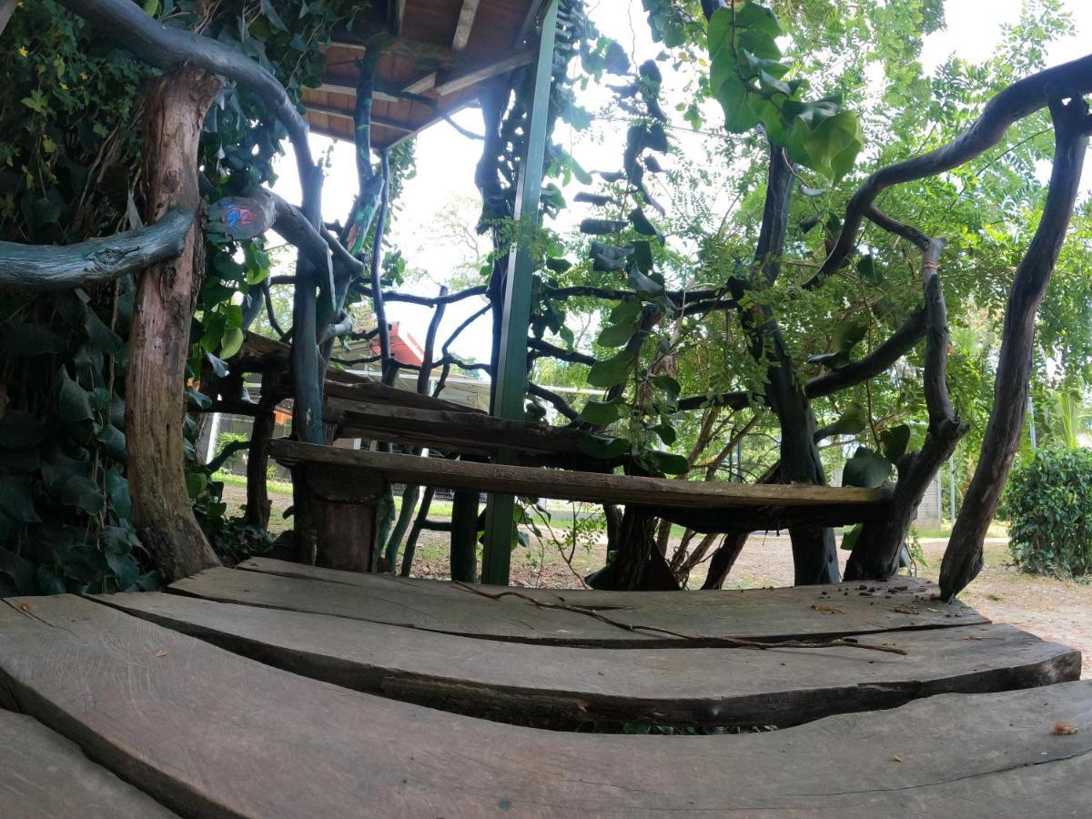 Tree House Samanea Lodge Пуэрто-Лимон Экстерьер фото