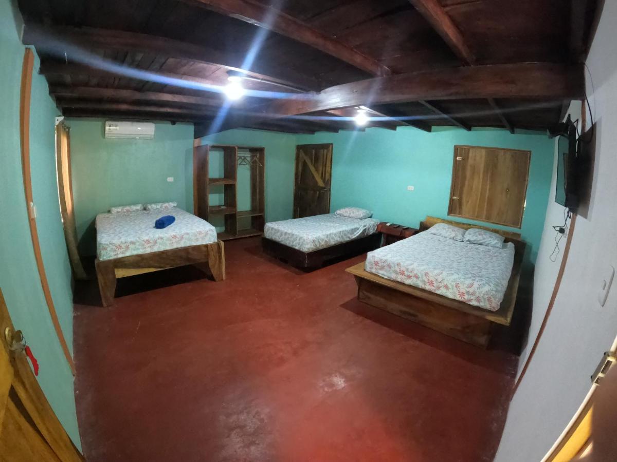 Tree House Samanea Lodge Пуэрто-Лимон Экстерьер фото