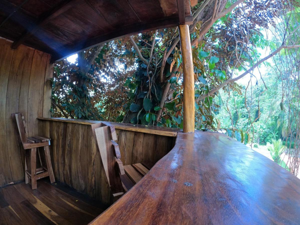 Tree House Samanea Lodge Пуэрто-Лимон Экстерьер фото
